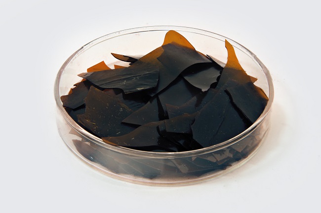 蟲(chóng)膠蠟.jpg